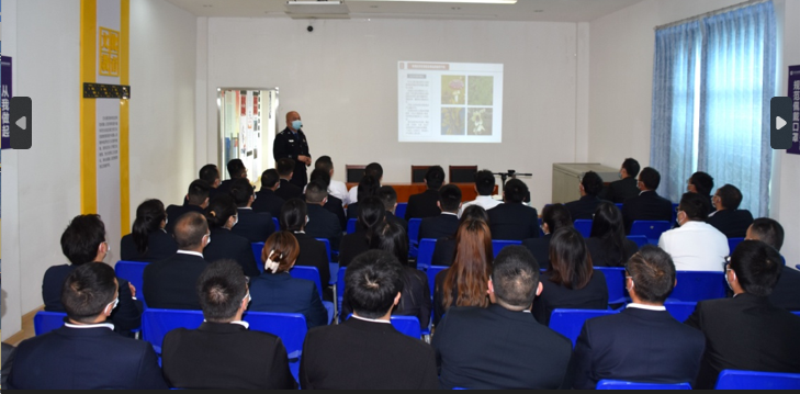 1680748996442.png 1680748996442.png