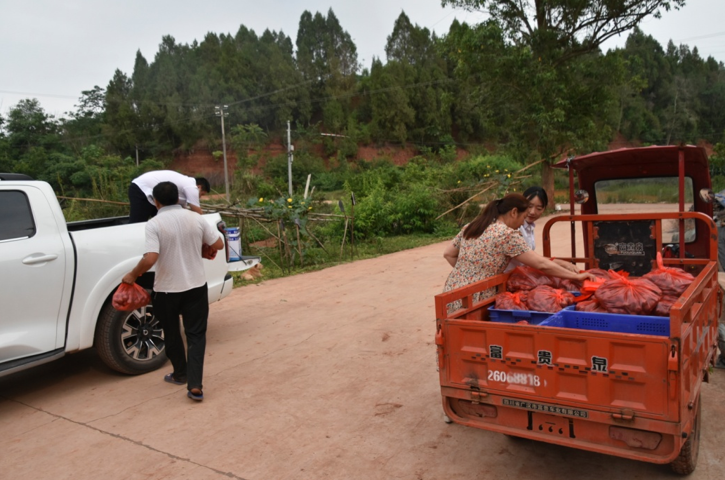 1688520876170.png 1688520876170.png