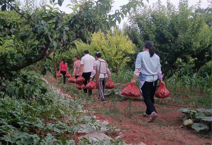 1688520906904.png 1688520906904.png