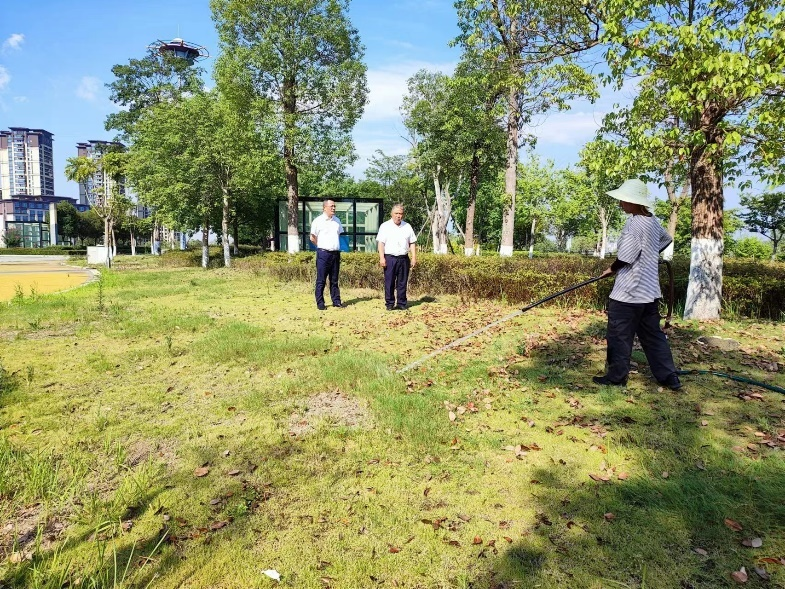 图片1.png 图片1.png